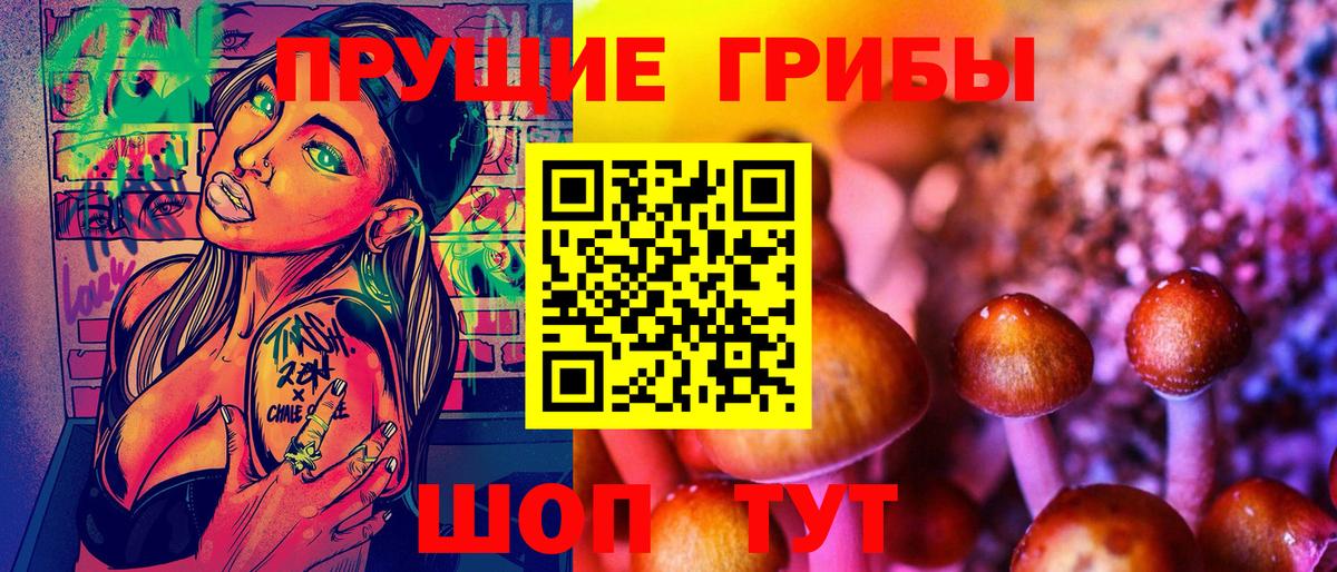 Ступино  Галлюциногенные грибы Cubensis  Вход с VPN 