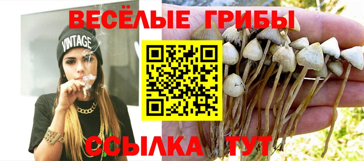Псилоцибиновые грибы прущие грибы Ступино